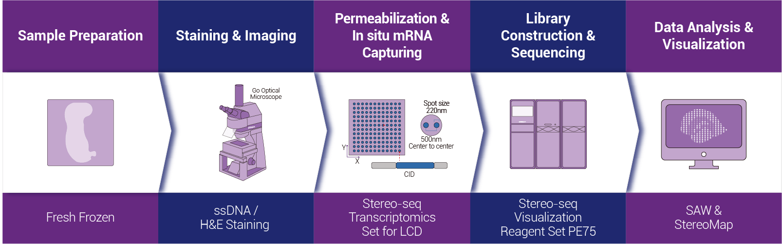 Tissue to Data End-to-end Solution